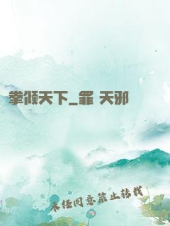 拳倾天下